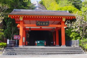 1層から2層へのエスカレーター