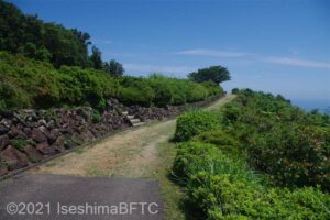 舗装されていないさんぽ道のようす。