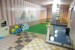 洗い場側から浴室入口方向を見たところ
