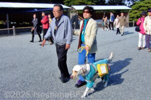 盲導犬とともに参道を進む視覚障害者