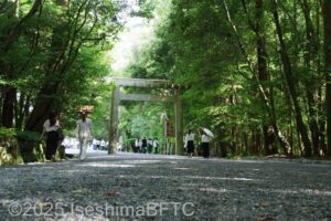 二の鳥居へ向かう参道