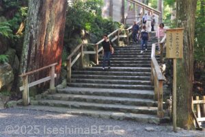 帰路の階段を下から見上げたところ