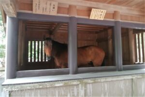 神馬（しんめ）