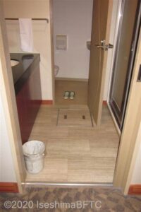 洗面脱衣所の入り口のようす。段差はない。