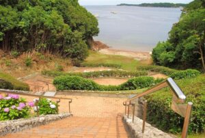 坂の下にある芝生広場の先に小さなビーチが見える。