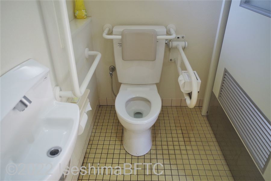 賢島駅南口駐車場車いす対応トイレ便器まわり　便器に向かって右側にU型可動手すり、左側にL型固定手すり