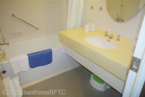 洗面台と浴槽は1室にあるユニットタイプ。洗い場は無い。