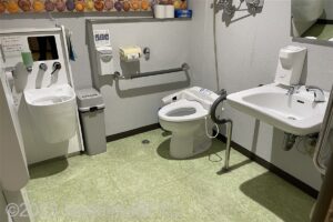 入館用エレベーター中2階車いす対応トイレ　入口からみて右奥に、よこ置きに便器。右手前に洗面台