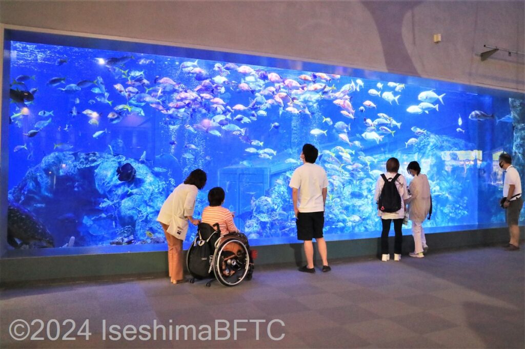 鳥羽水族館 エントランスホールの大水槽を見る車いす使用者
