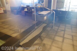 南館男性用大浴場　浴室内にある階段2段