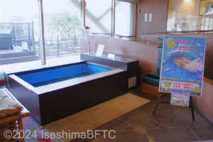 ドクターフィッシュの水槽