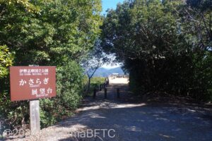 かさらぎ展望台へ向かう道のようす。木の間を抜けて行く。