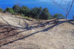 駐車場からの通路途中にある4段の段差のようす。
