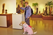 彫刻にさわる盲導犬使用者と、お座りしている盲導犬