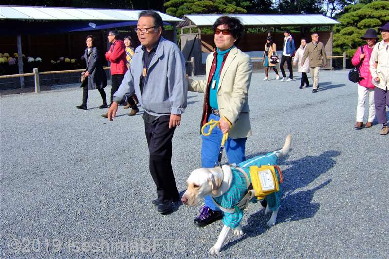 盲導犬とともに参道を進む視覚障害者