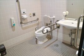 向かって右がＵ型可動、左がＬ型固定手すりのトイレ
