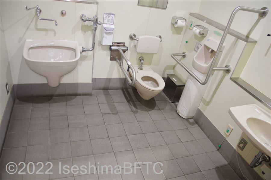 近鉄賢島駅車いす対応トイレ内部　入口からみて右奥に、たて置きに便器。入口からみて右手前に洗面台