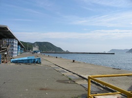奈屋浦漁港　市場周辺